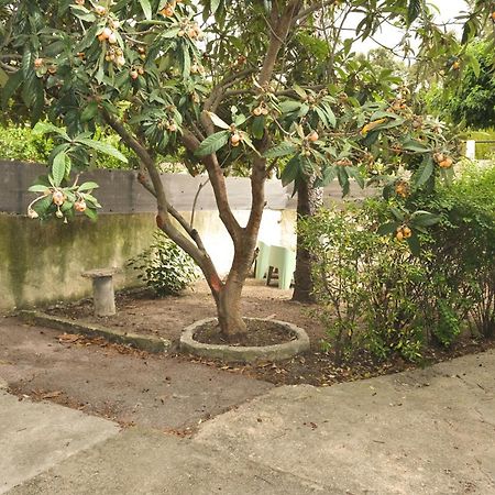 Studio Independant Avec Jardin Bouc-Bel-Air Kültér fotó